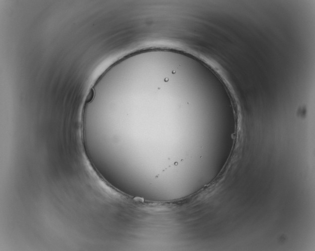 X0000113201199200909100915