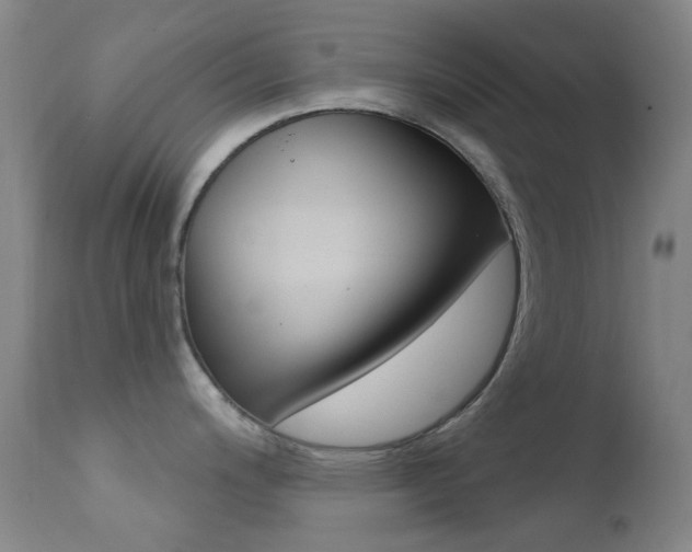 X0000113201200200909100915