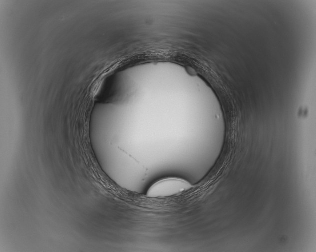 X0000113201201200909100914