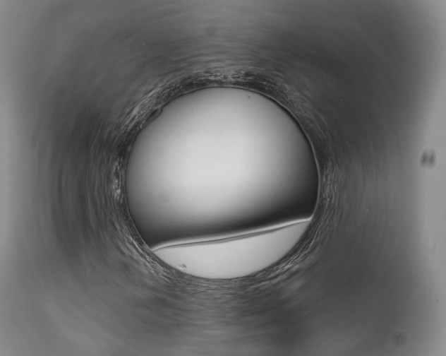 X0000113201202200909100914