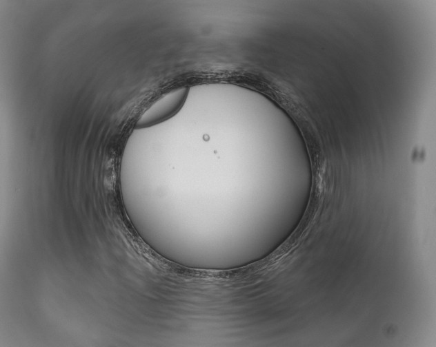 X0000113201204200909100914