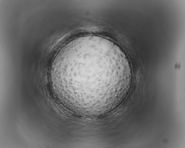 X0000113201205200909100914
