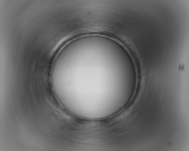 X0000113201210200909100914