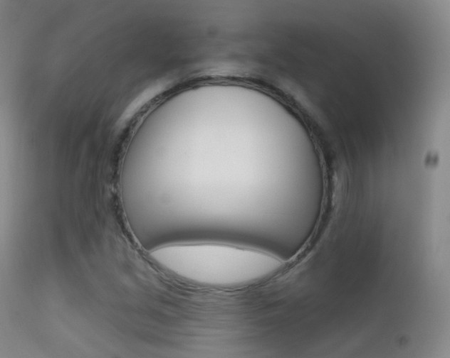 X0000113201213200909100914