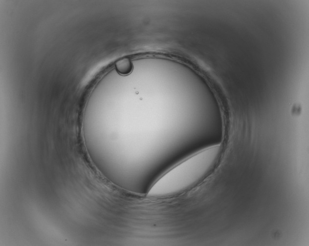 X0000113201214200909100914
