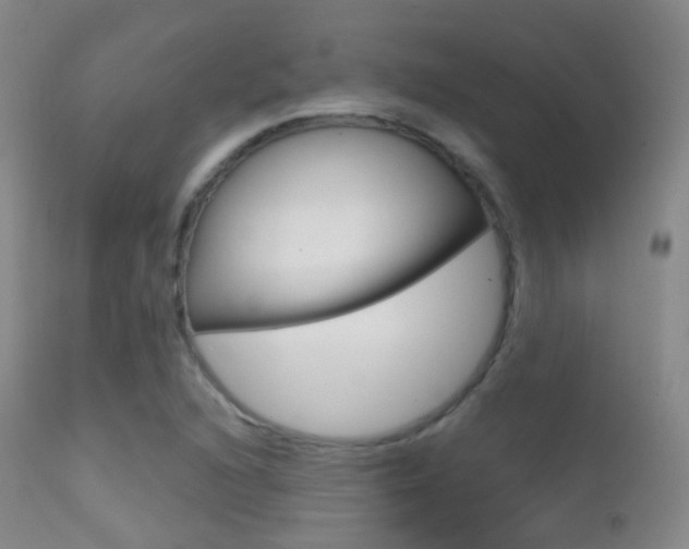 X0000113201216200909100914