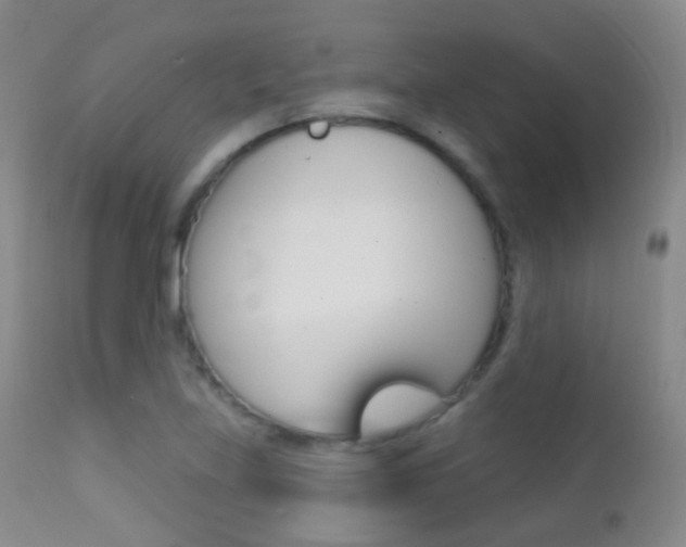 X0000113201219200909100914