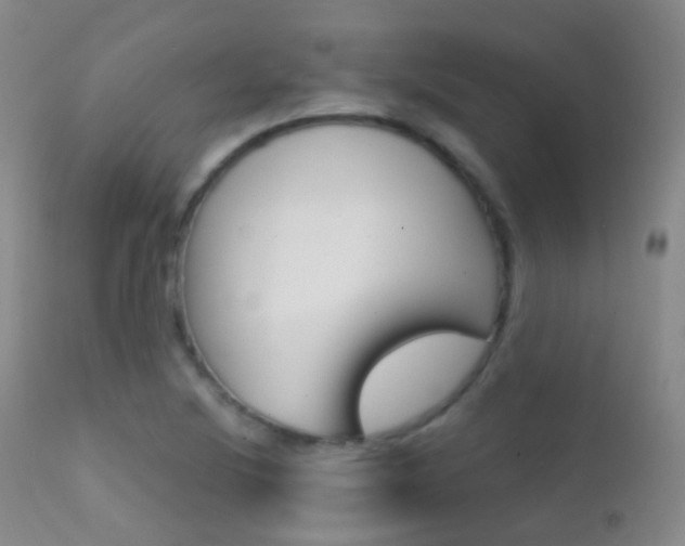 X0000113201220200909100914