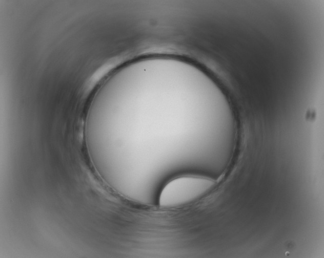 X0000113201221200909100914