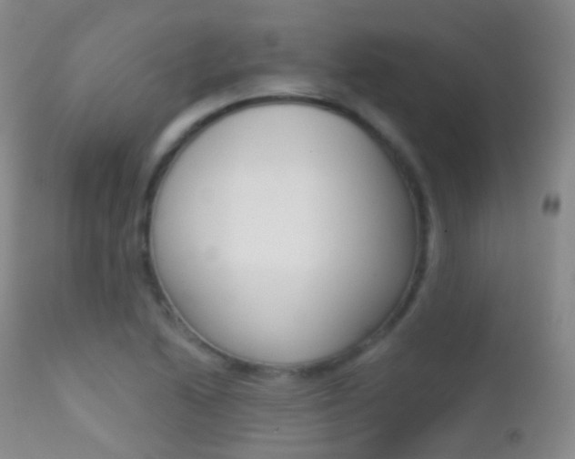 X0000113201222200909100914
