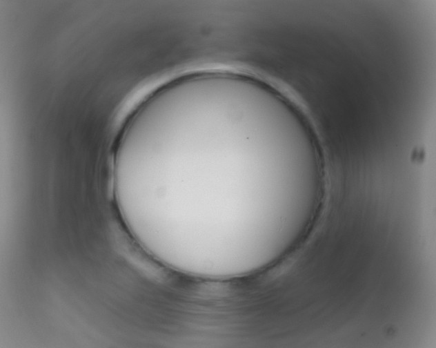 X0000113201223200909100914