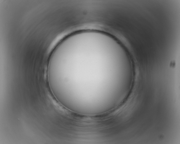 X0000113201224200909100914