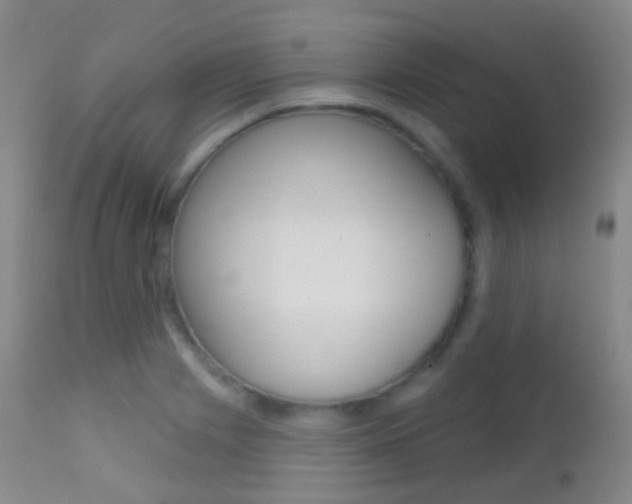 X0000113201225200909100914