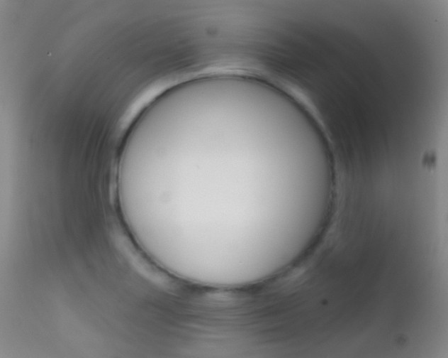 X0000113201227200909100914