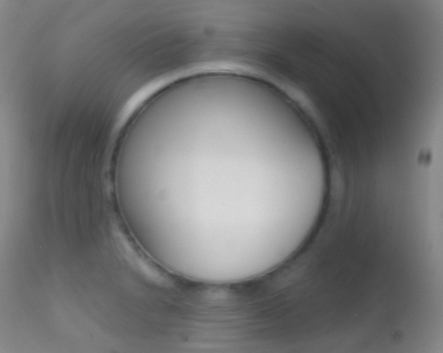X0000113201230200909100914