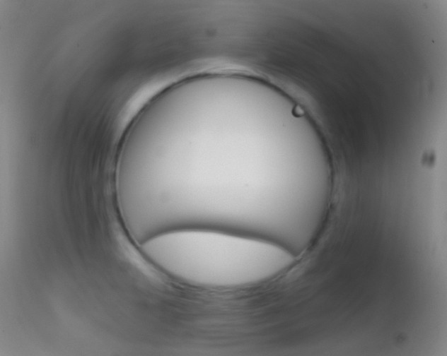 X0000113201231200909100914