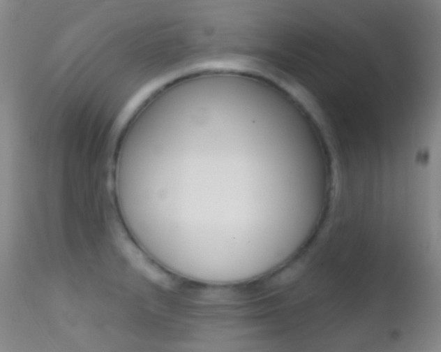 X0000113201232200909100914