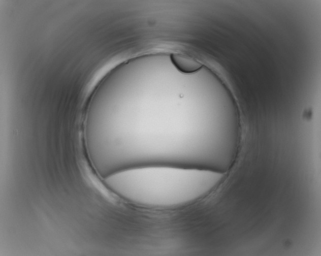 X0000113201235200909100914