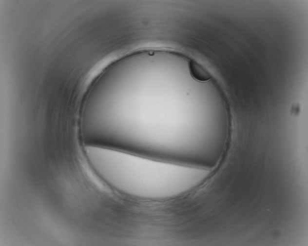 X0000113201237200909100914