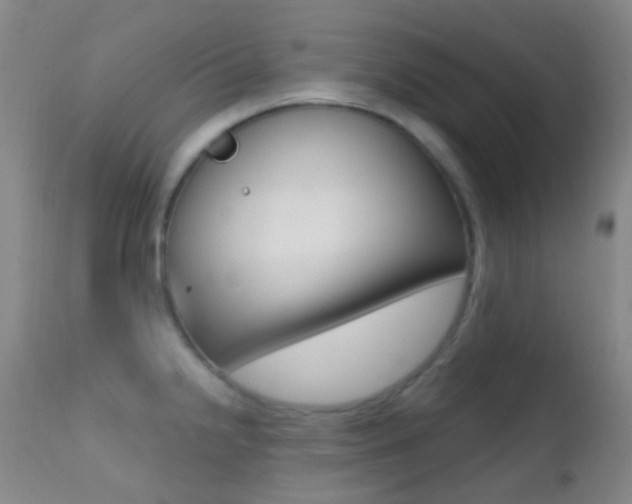 X0000113201238200909100914
