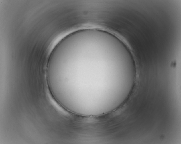 X0000113201239200909100914