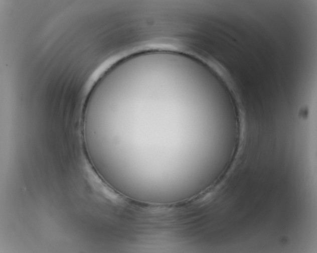 X0000113201240200909100914