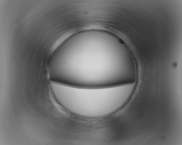 X0000113201241200909100914