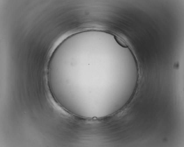 X0000113201243200909100914
