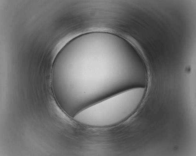 X0000113201244200909100914