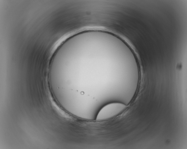 X0000113201245200909100914