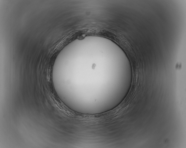 X0000113201250200909100914