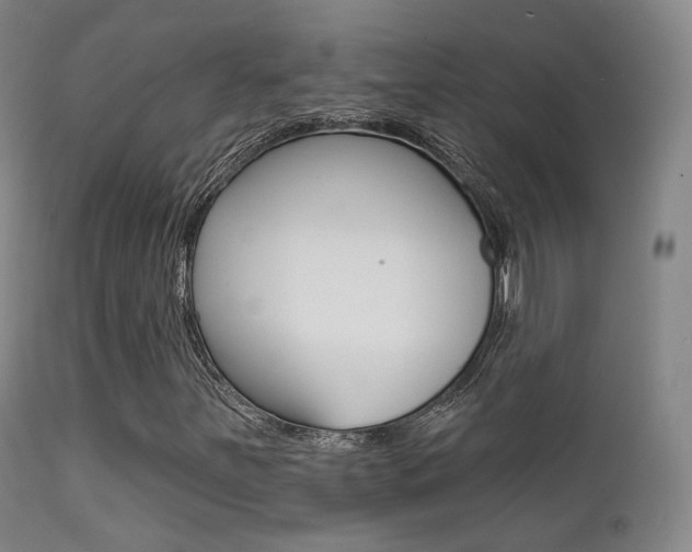 X0000113201251200909100914