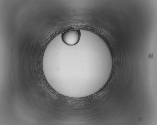 X0000113201252200909100914