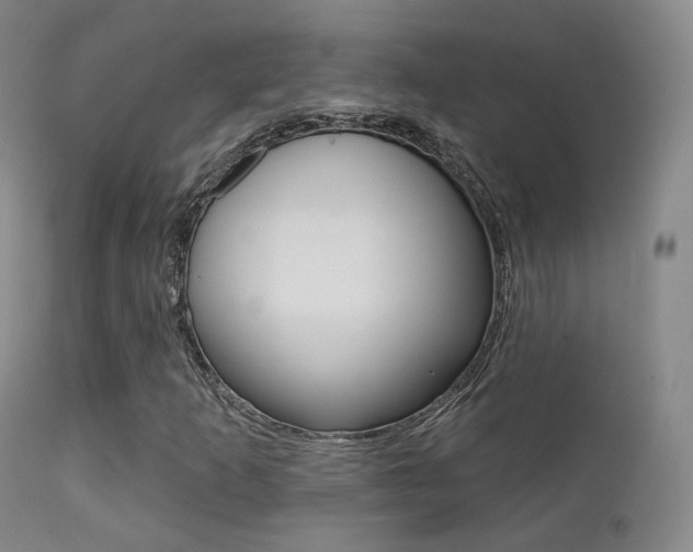 X0000113201253200909100914