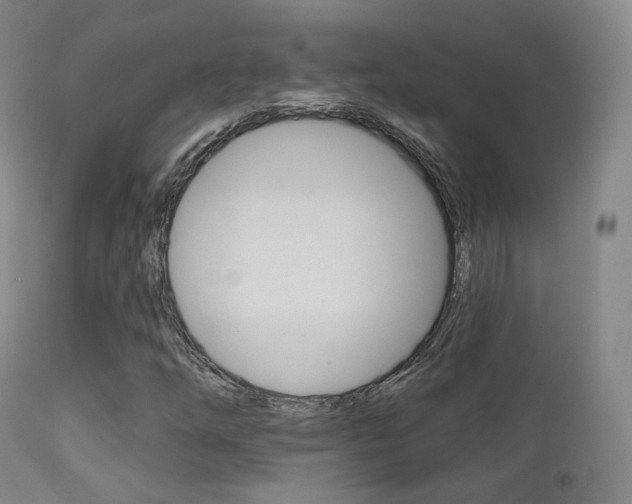 X0000113201254200909100914