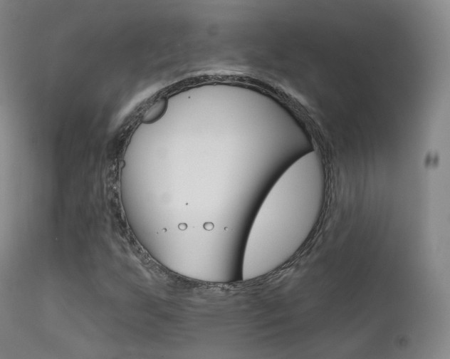 X0000113201255200909100914