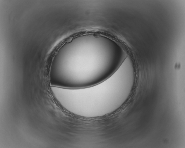 X0000113201256200909100914