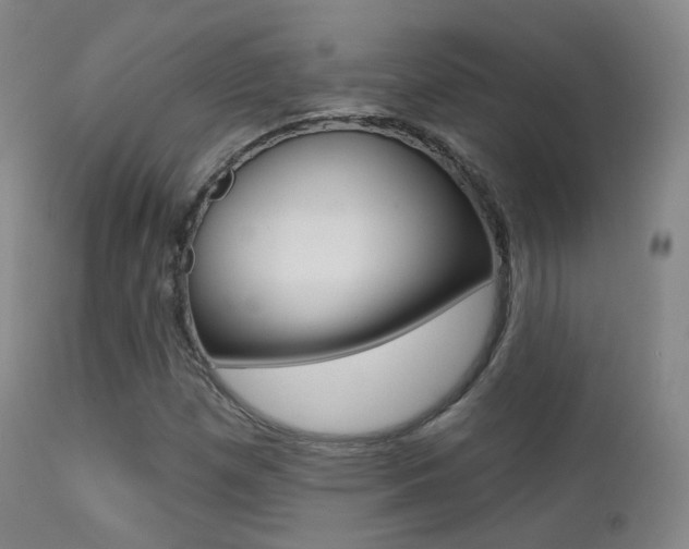 X0000113201257200909100914