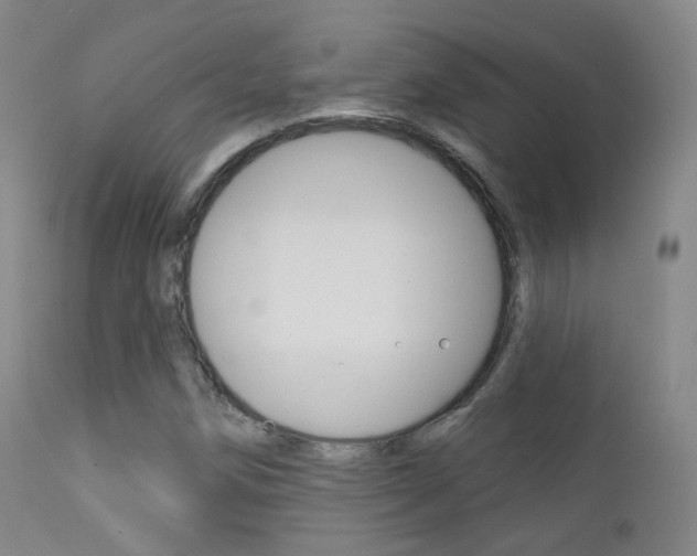 X0000113201258200909100914