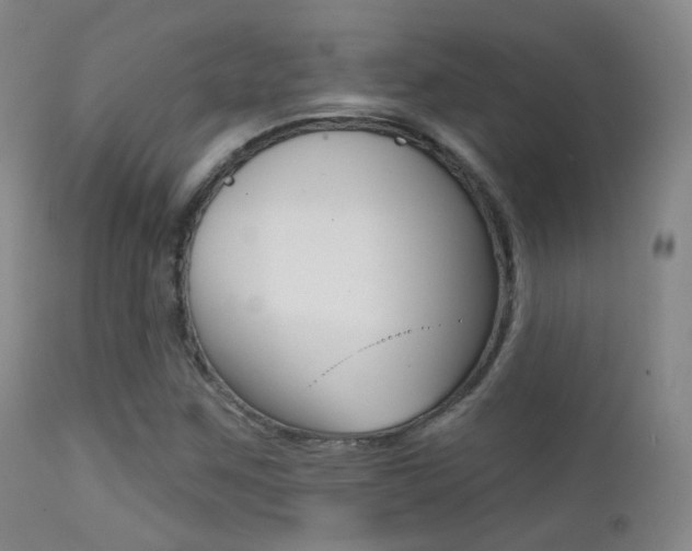 X0000113201259200909100914