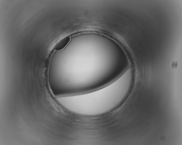 X0000113201260200909100914