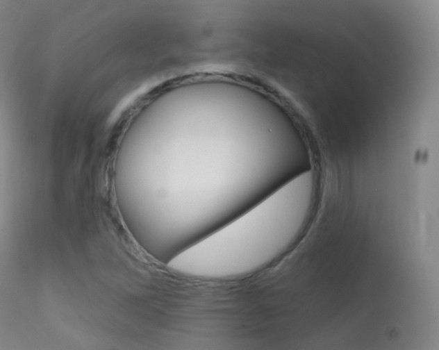 X0000113201262200909100914