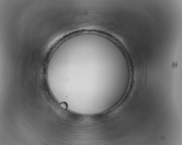 X0000113201263200909100914