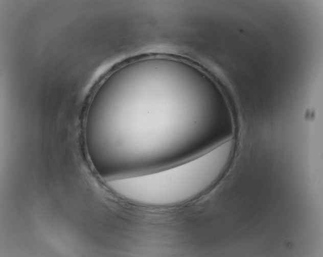 X0000113201264200909100914