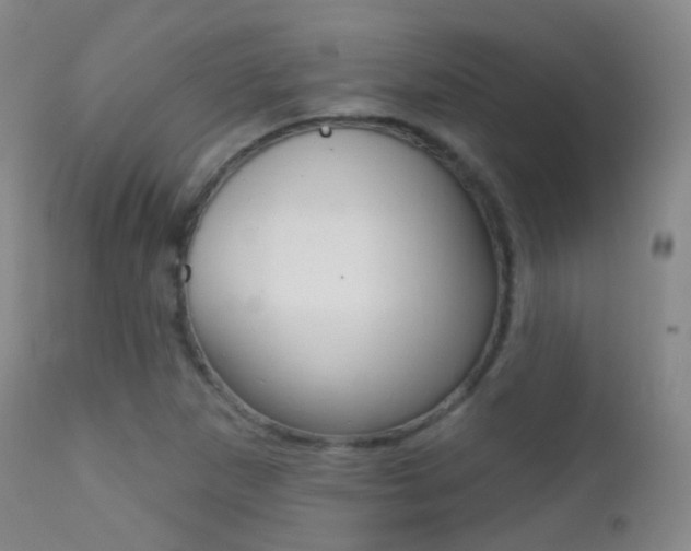 X0000113201265200909100914