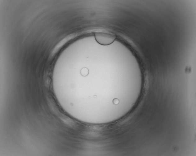 X0000113201266200909100914