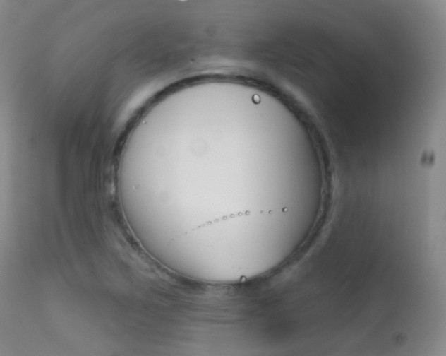 X0000113201267200909100914