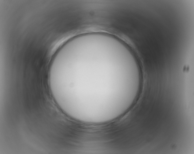 X0000113201269200909100914