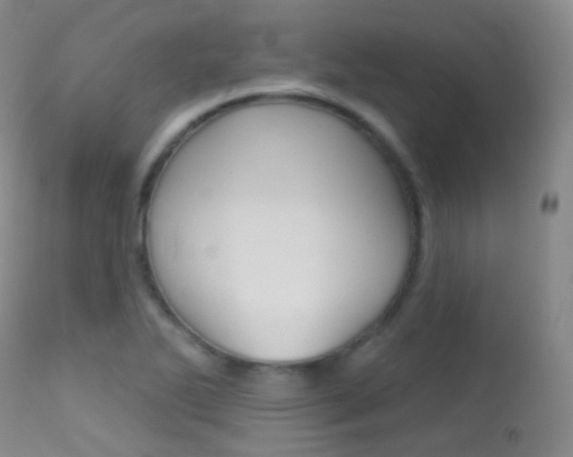 X0000113201270200909100914