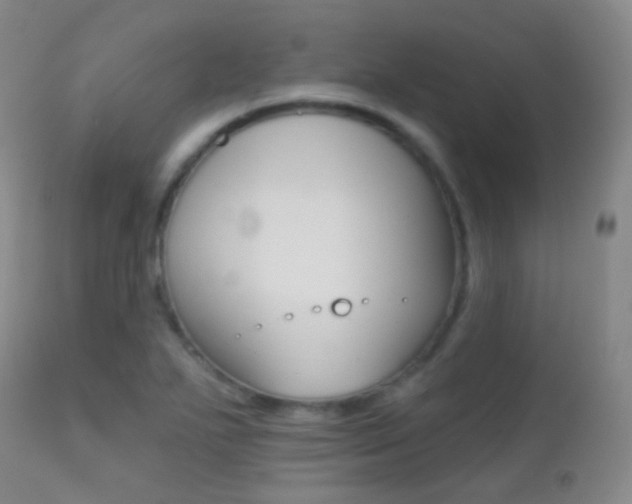 X0000113201271200909100914